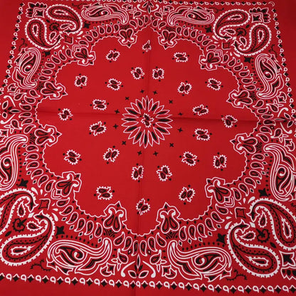 68*68cm 100% Cotton Black Red Hip-Hop Paisley Bandanas Scarf Punk Skull Bandana Headband Wrap Scarf For Men/Women